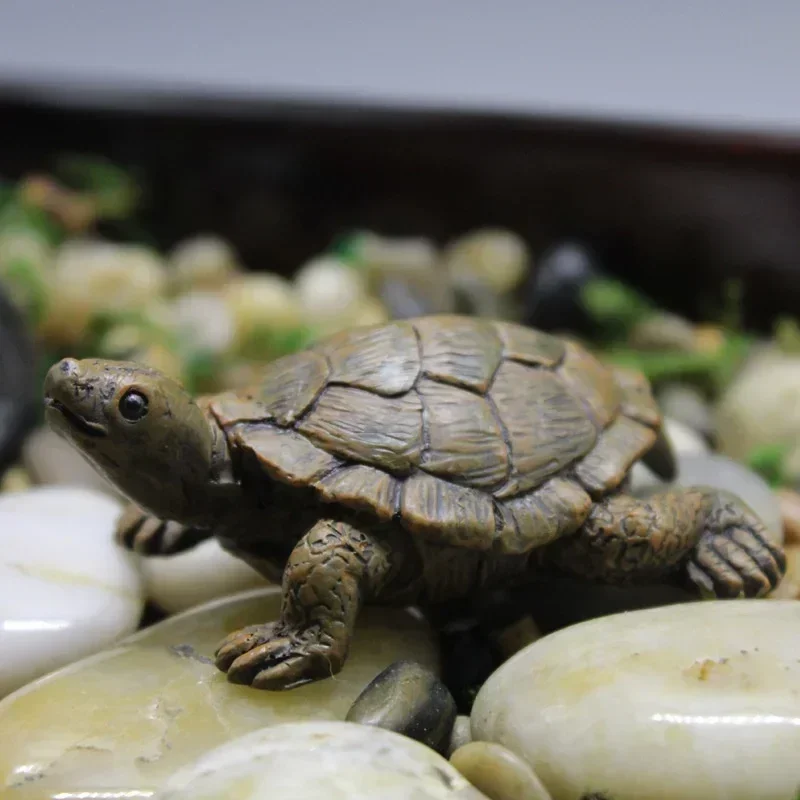 Succulent Set - Simulation de petite tortue artisanale en