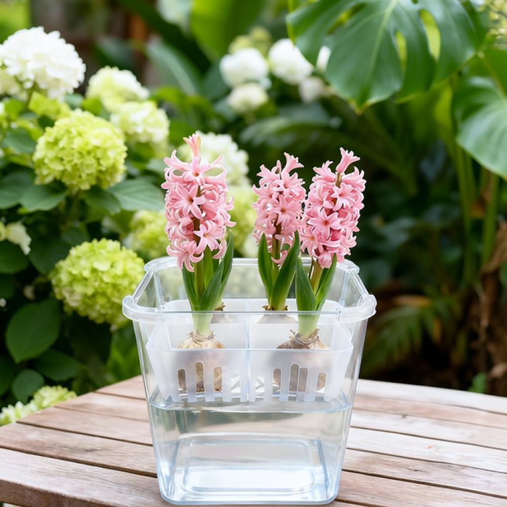 Plant Pot - Vase hydroponique pour tulipes et lys,