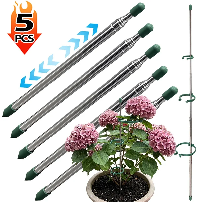 Plant Support Stake - 5/1 Pièces Anneaux de Soutien Rétractables