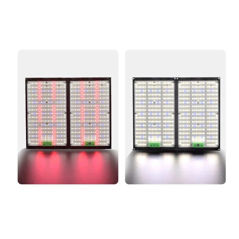Indoor Plants - Lampe de culture LED Quantum-Board à
