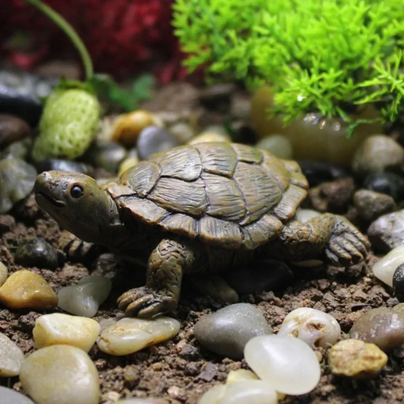 Simulation de petite tortue ar - Succulent Set avis et prix