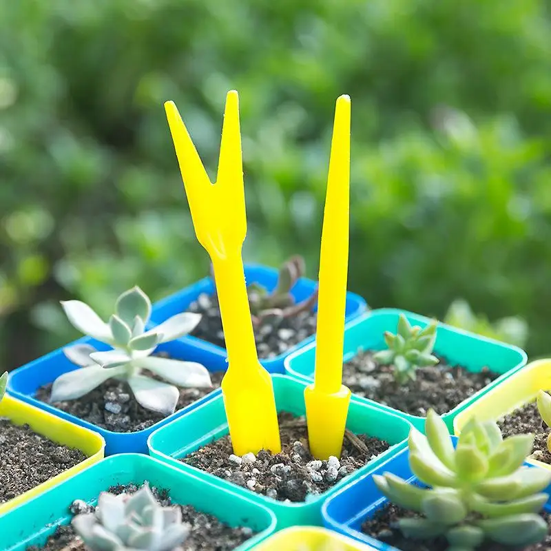 1/10 pièces semis plantes succ - Succulent Set avis et prix