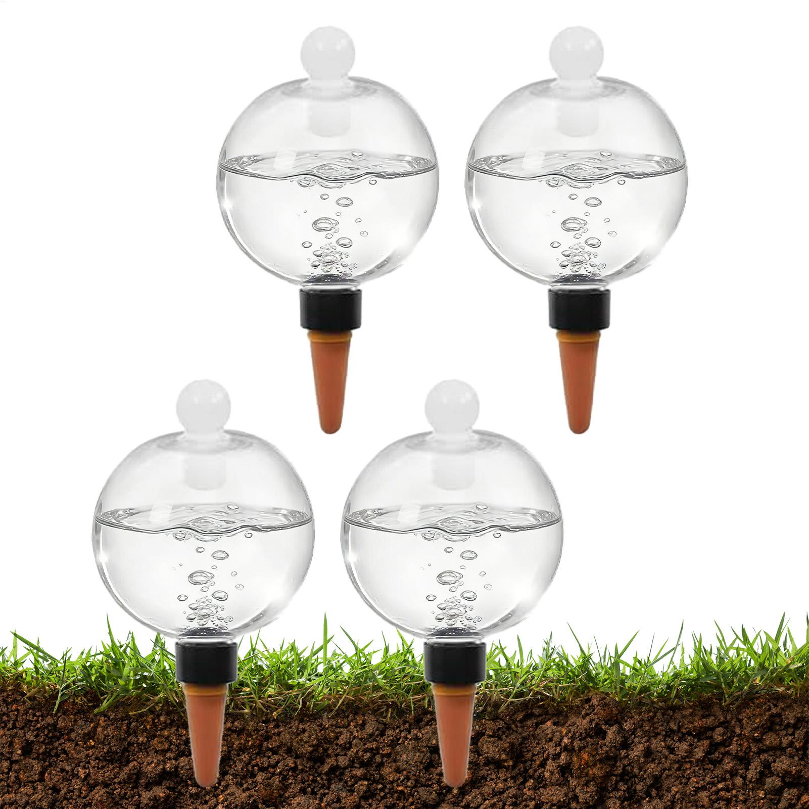 Bulbes d'arrosage automatiques - Pothos avis et prix