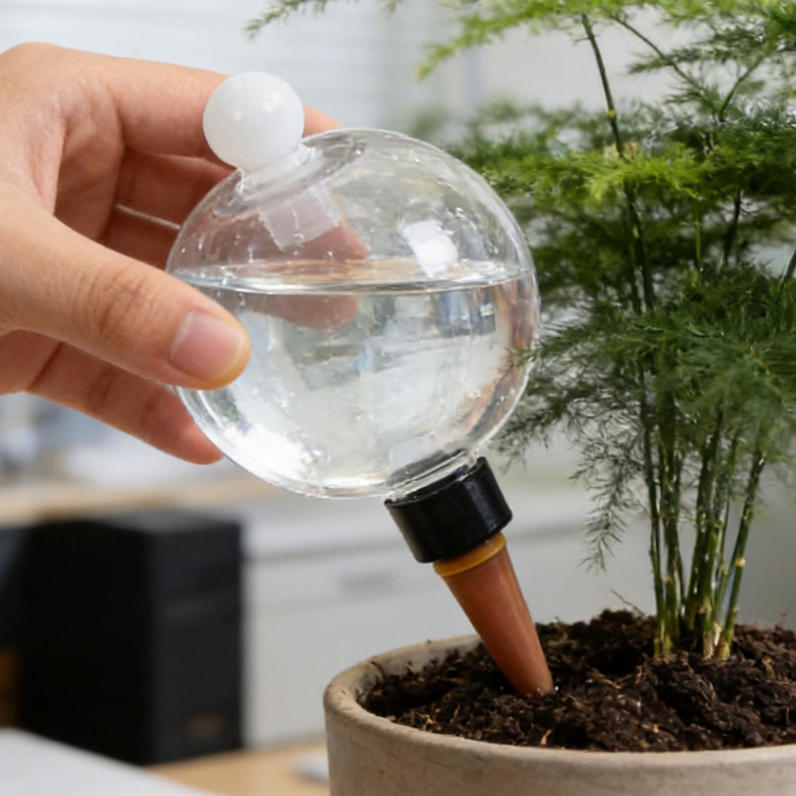 Bulbes d'arrosage automatiques - Pothos avis et prix