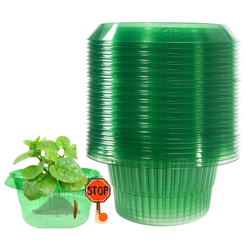 Anneaux de Protection des lima - Terracotta Pot avis et prix
