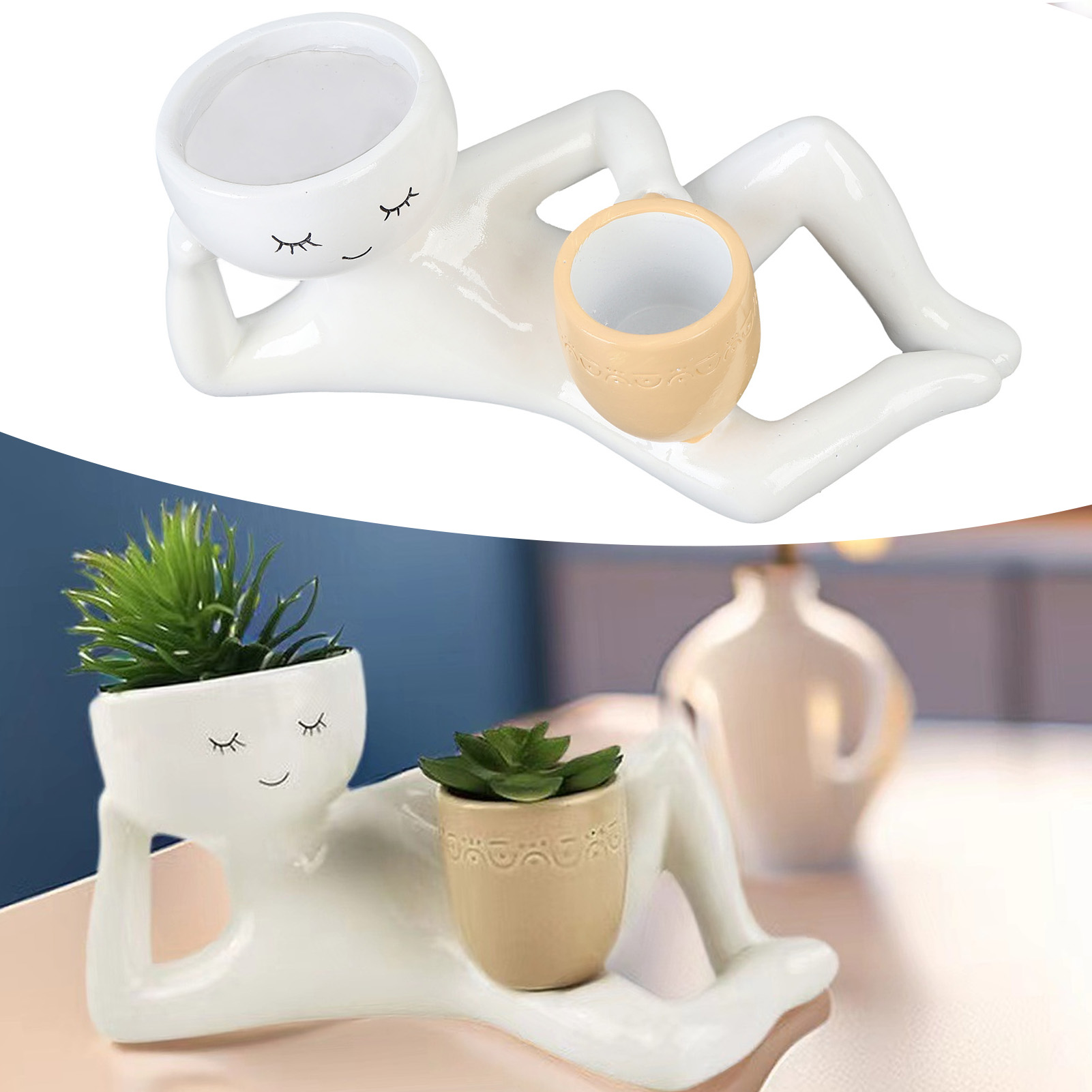 Pot succulent créatif et respi - Succulent Set avis et prix