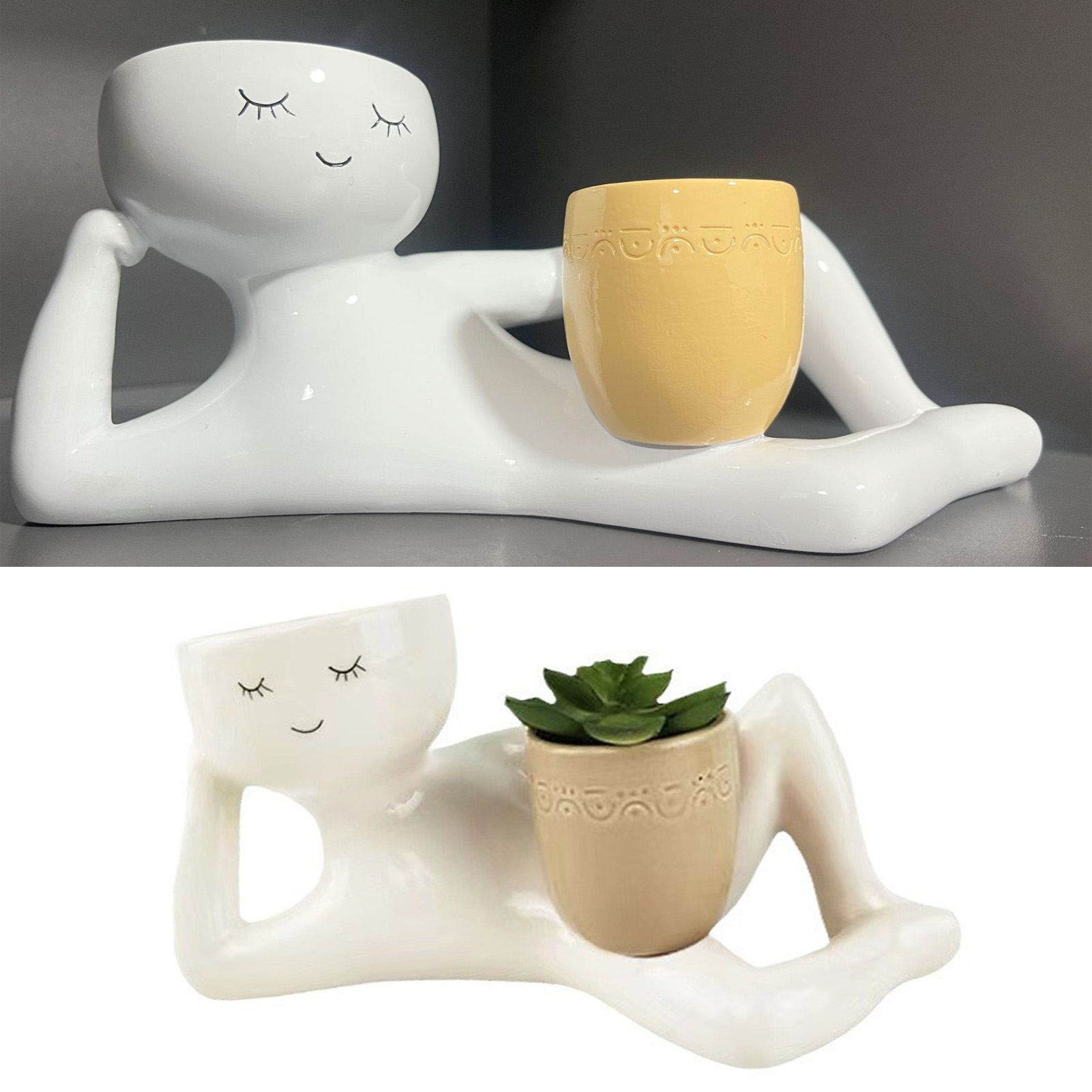 Pot succulent créatif et respi - Succulent Set avis et prix