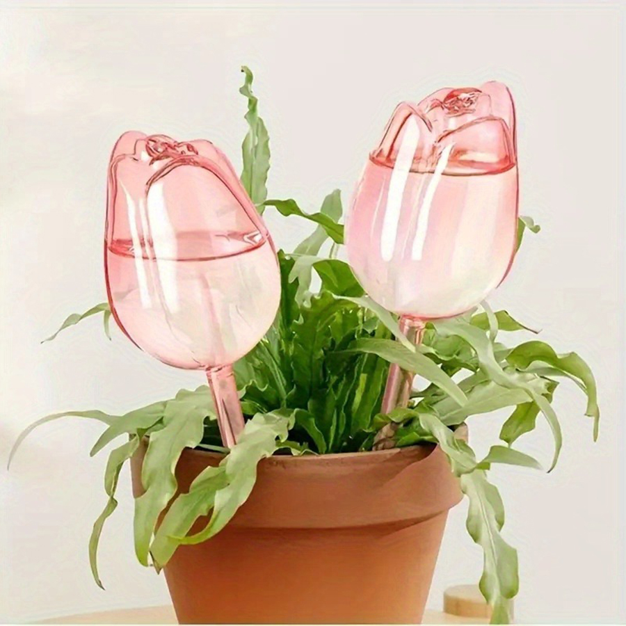 Pique d'arrosage transparente  - Pothos avis et prix