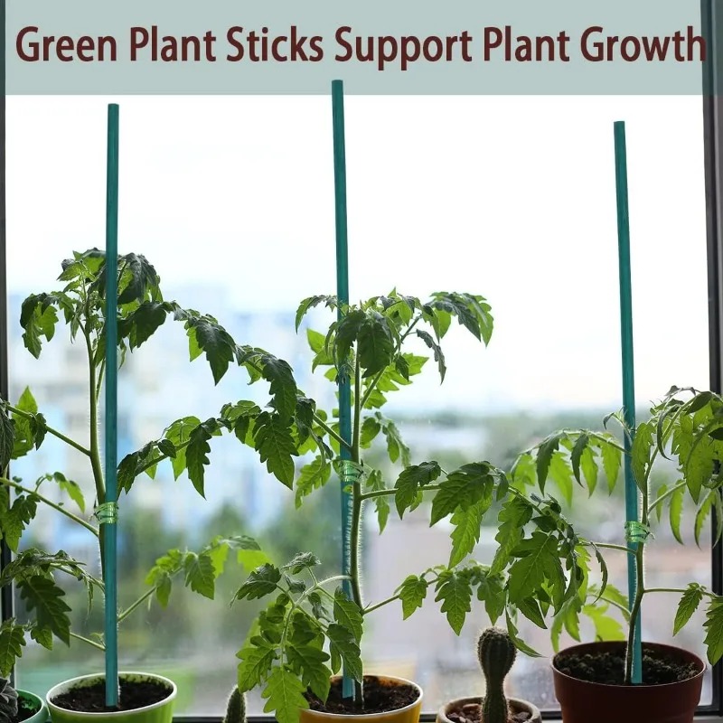 Bâtons de soutien pour plantes - Plant Support Stake avis et prix