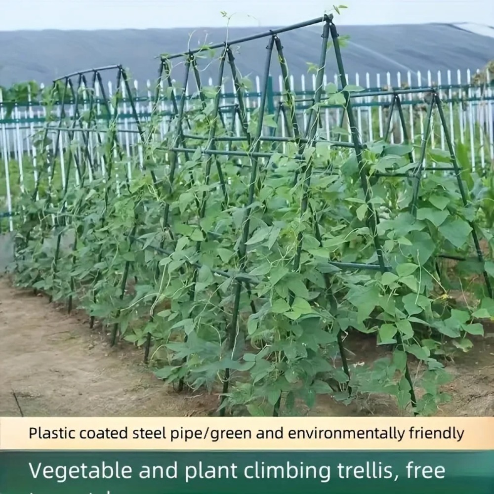 20 piquets de jardin – Support - Plant Support Stake avis et prix