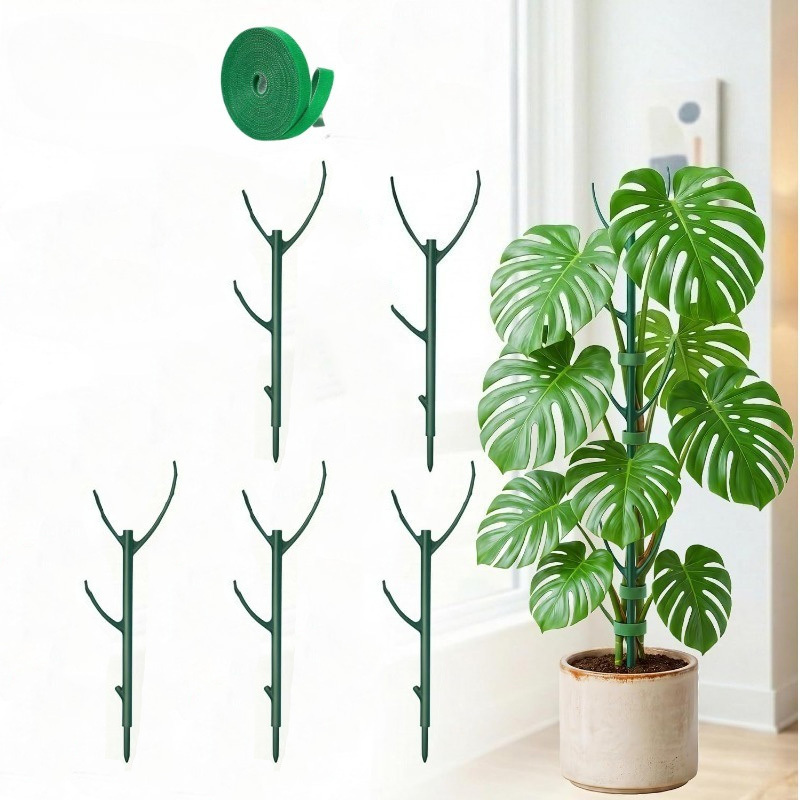 Supports pour plantes Monstera - Plant Support Stake avis et prix