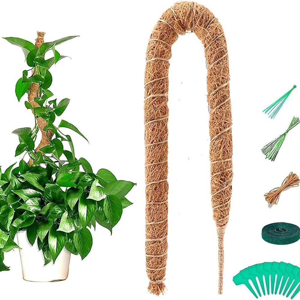 Bâton de support pour plantes  - Pothos avis et prix