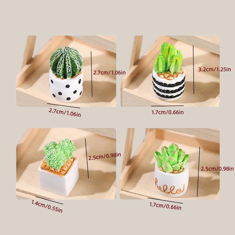 Ensemble de 4 plantes succulen - Succulent Set avis et prix