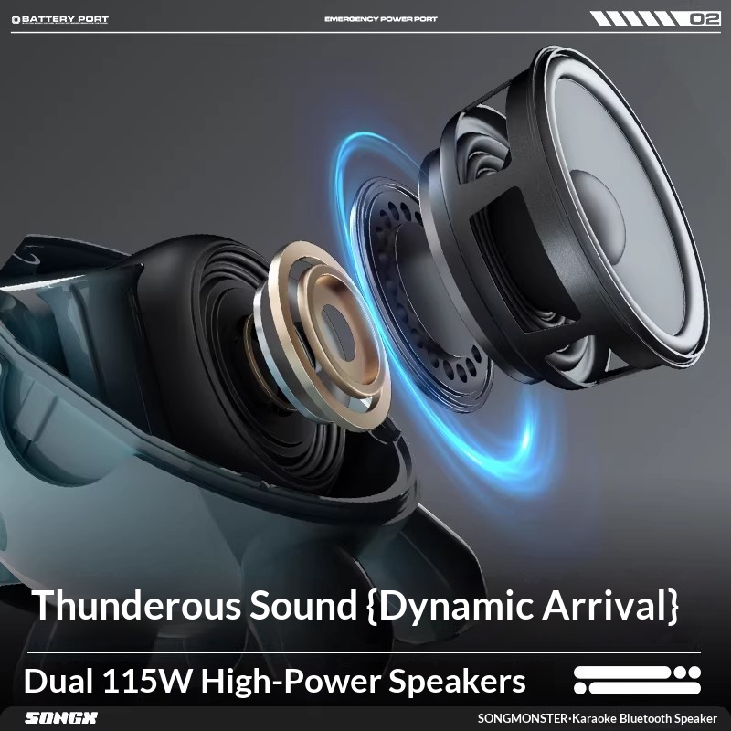 SONGX Audio double Microphone  - Monstera avis et prix