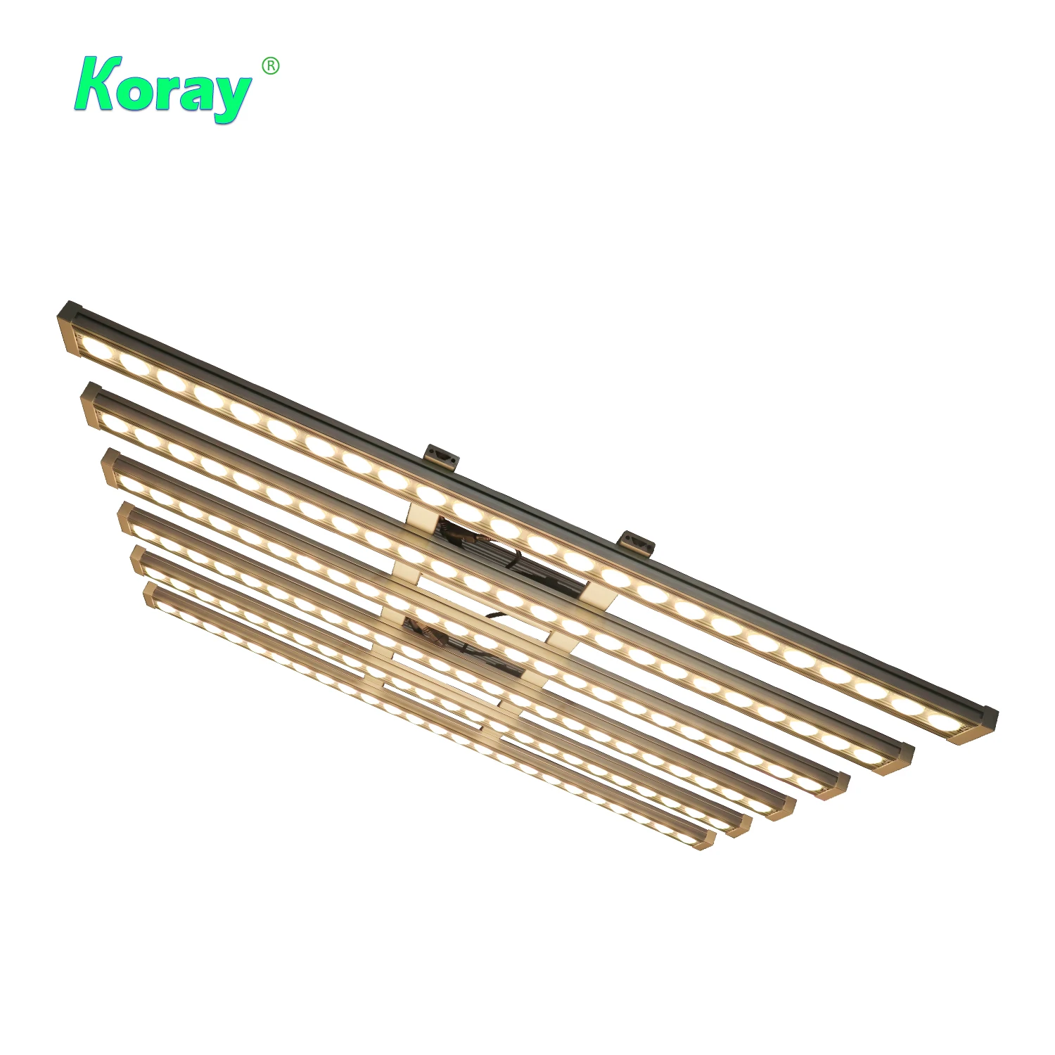 Koray 900W Lampe de culture in - Indoor Plants avis et prix