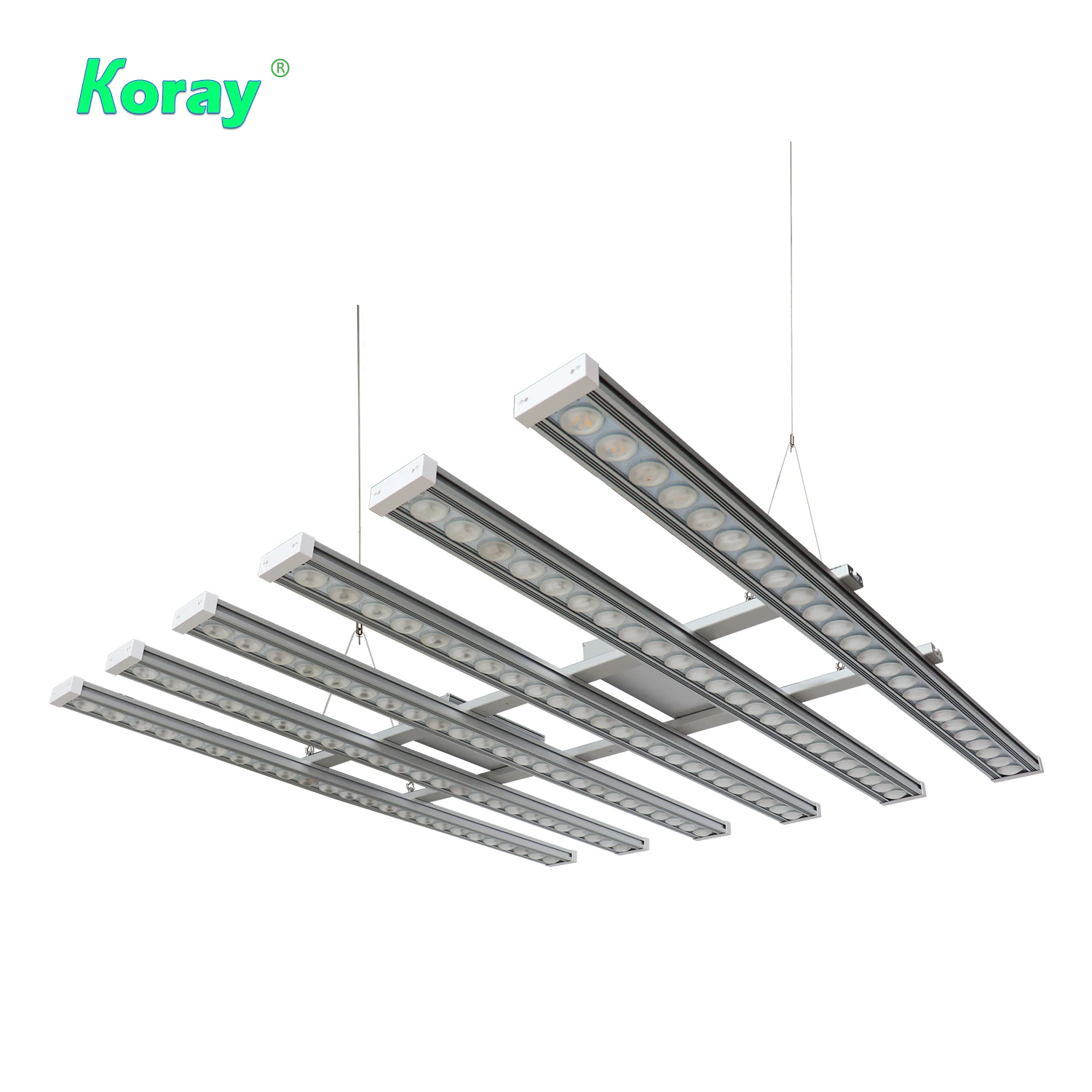 Koray 900W Lampe de culture in - Indoor Plants avis et prix