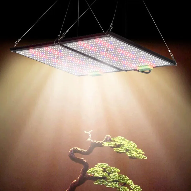 Lampe de culture LED Quantum-B - Indoor Plants avis et prix